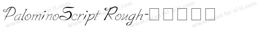 PalominoScript Rough字体转换